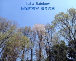町田市ピアノ・リトミック教室となりの林